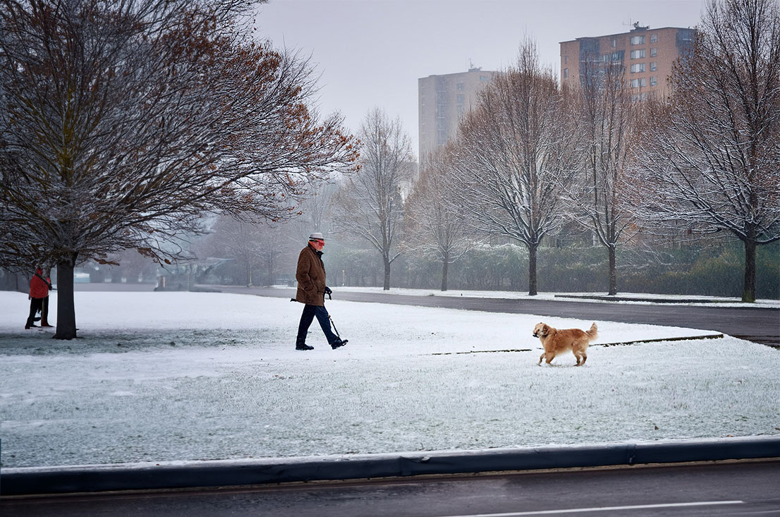 Frost’s Woods Within: Seeking Stillness in the Midst of Urban Hustle